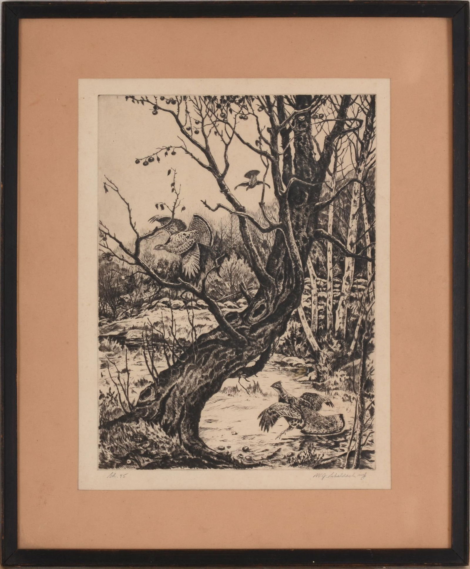 WILLIAM J. SCHALDACH QUAIL ETCHING. (1 of 4)