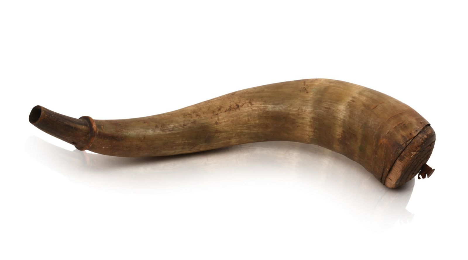 ANTIQUE POWDER HORN: Length 14.5 inches