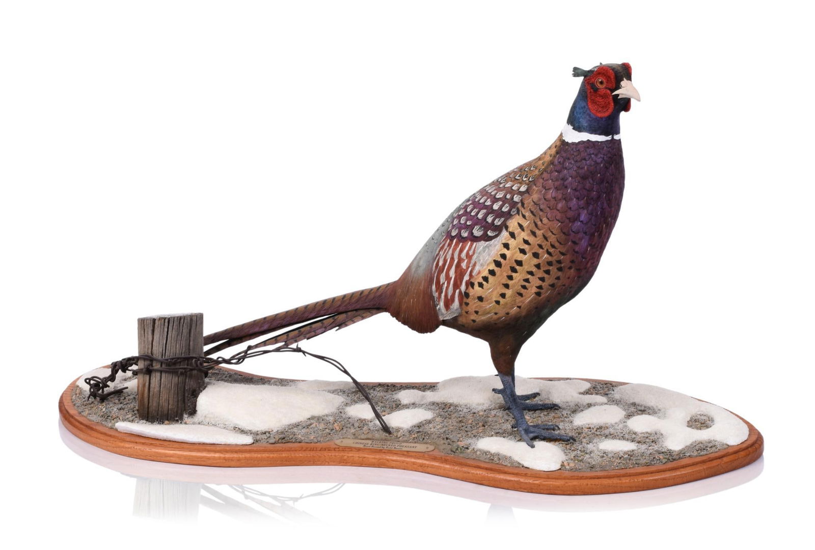 LARGE PHEASANT CARVING BY TODD SWAIM. (1 of 7)