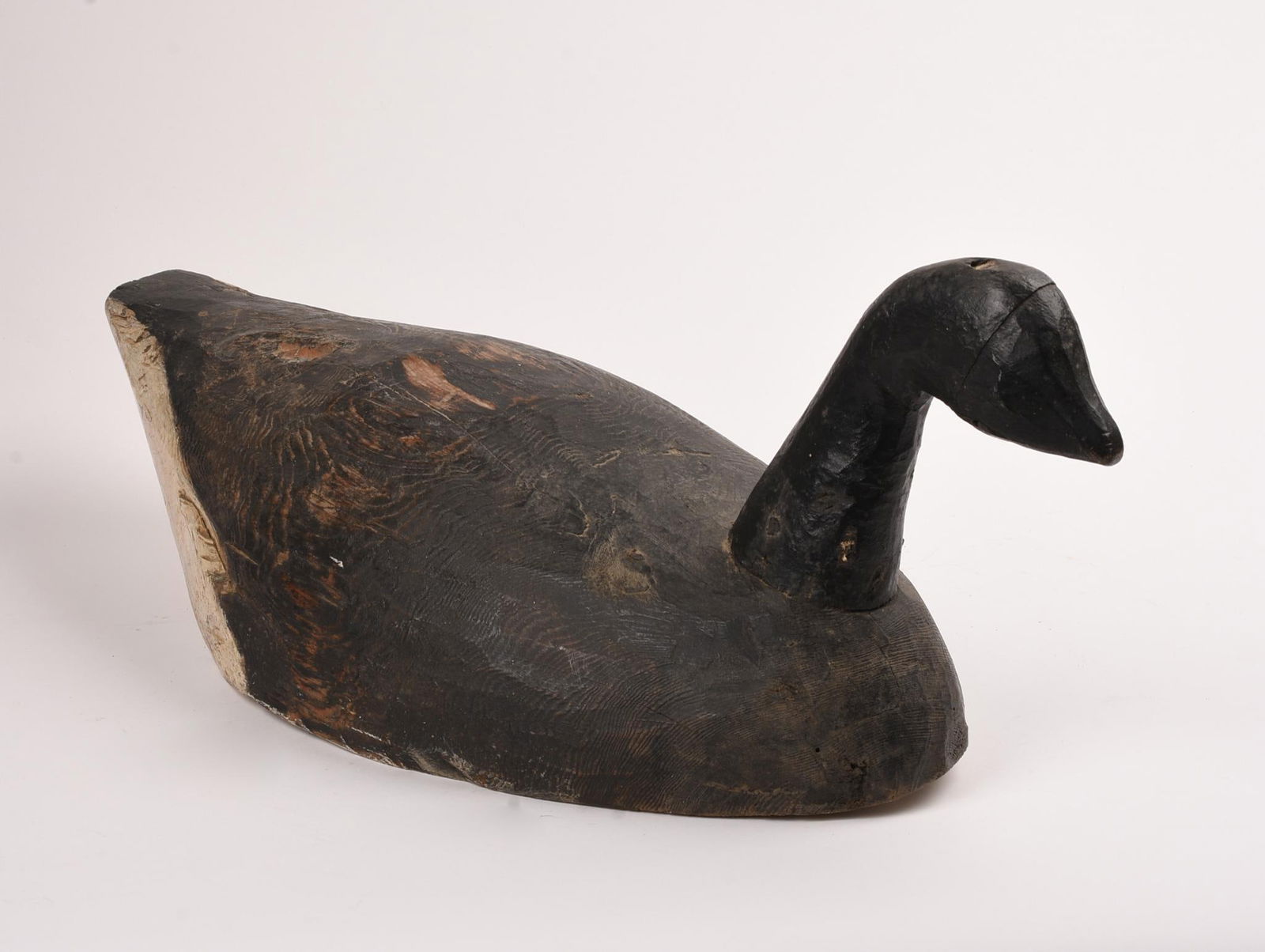 Tabusintac Bay Brant (1 of 4)