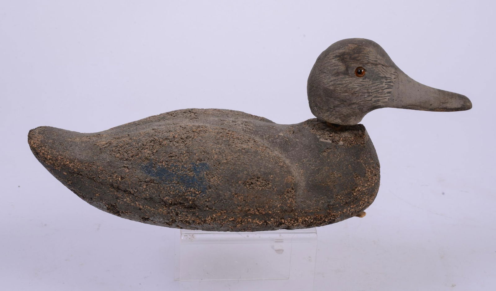 The Best Duck Decoy Black Duck (1 of 4)
