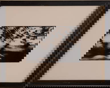 Abstract Black and White Photograph.: Pencil signed, framed, 12 x 15 inches. IN HOUSE SHIPPING: We offer very competitively priced in house shipping for all items in this sale. Please contact us for a quote.