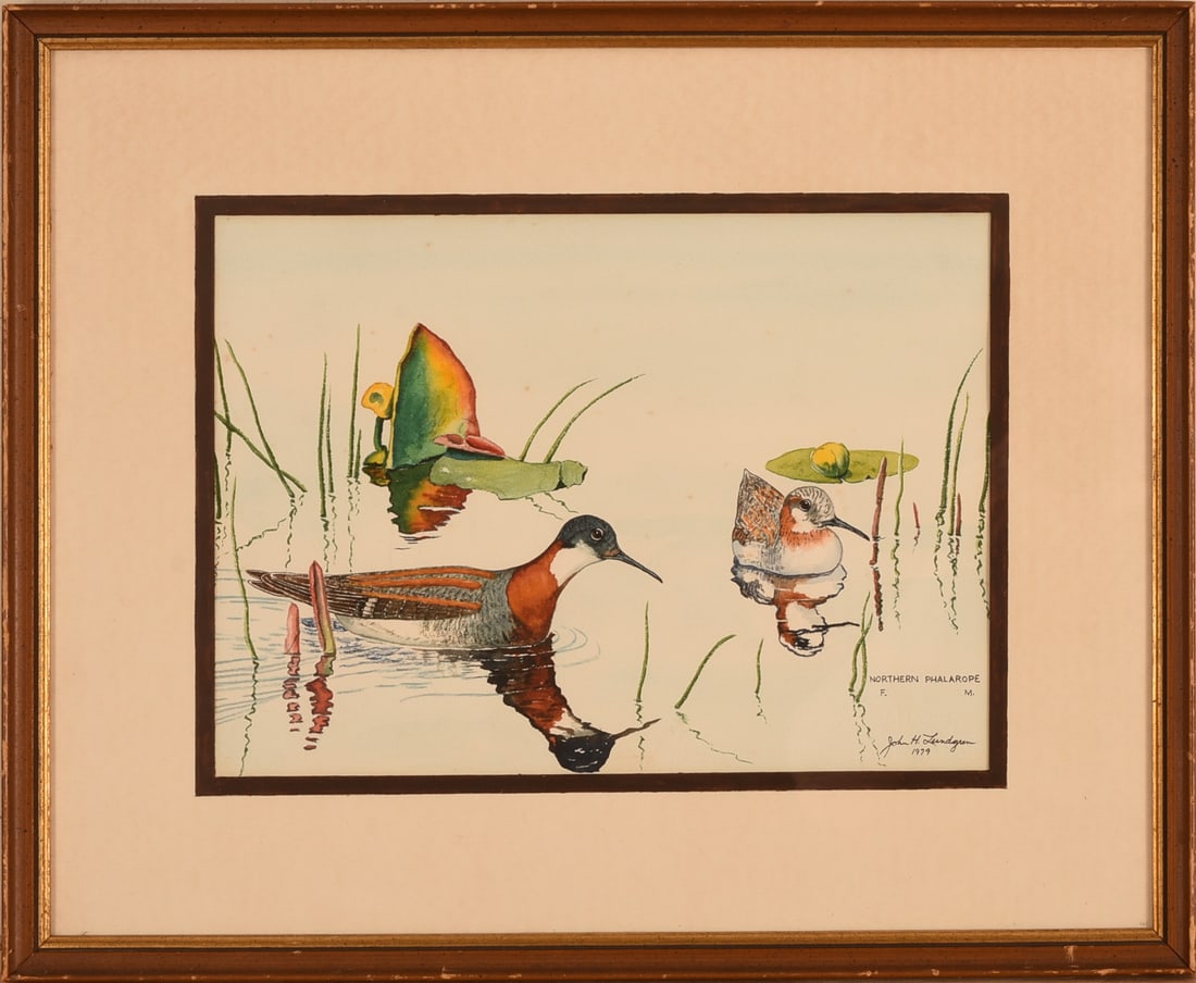JOHN H. LUNDGREN "NORTHERN PHALAROPE" (1 of 4)