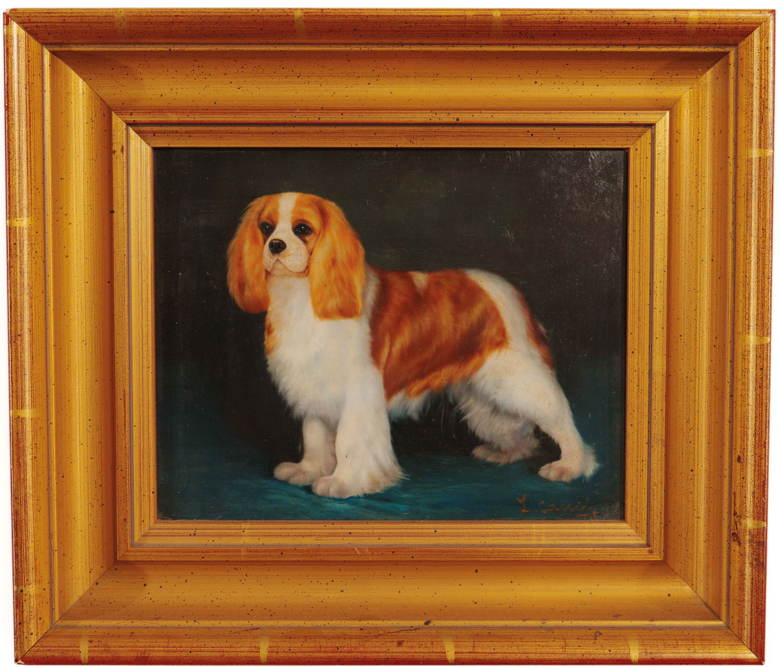 Portrait of a Cavalier Spaniel. (1 of 3)