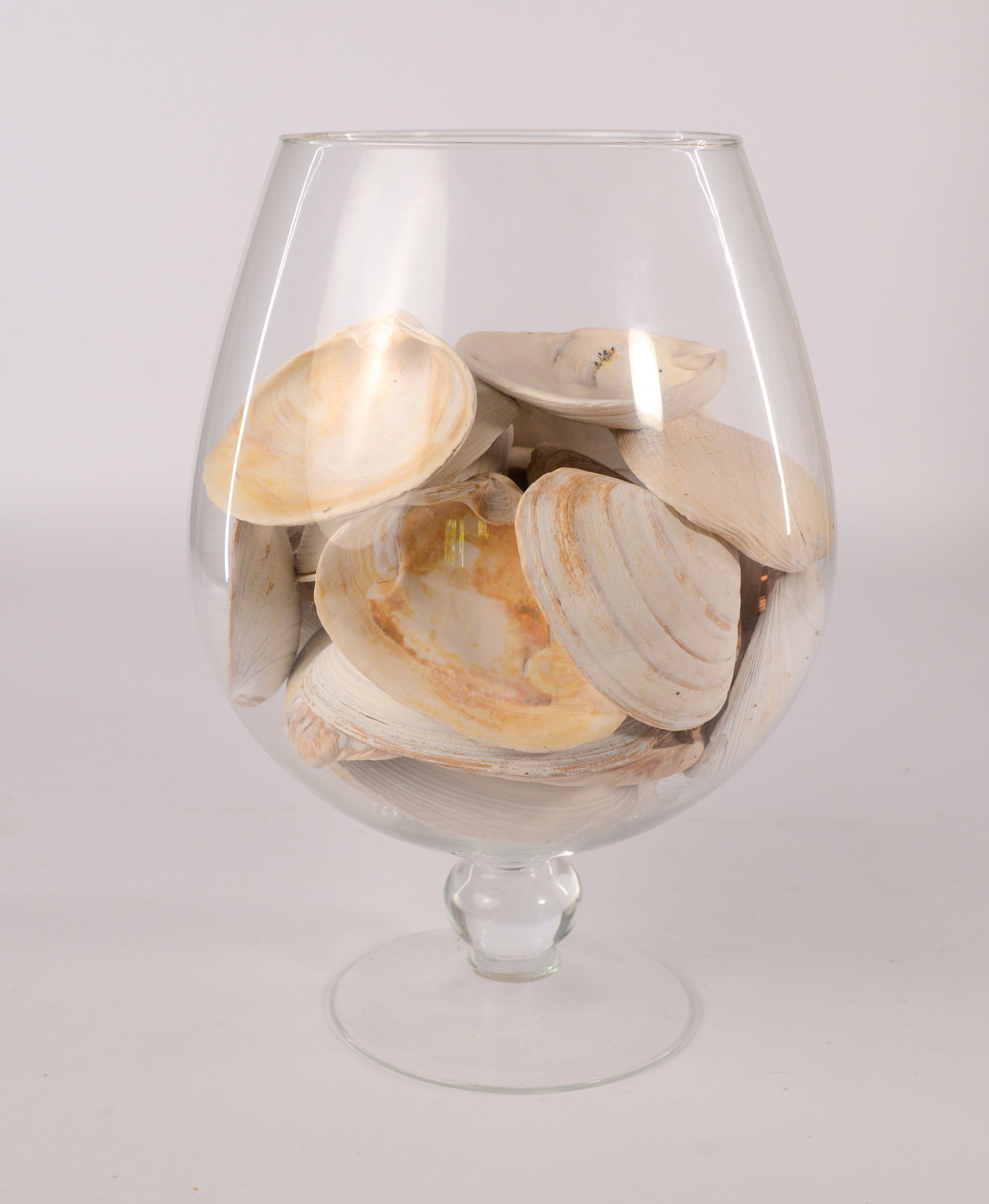 Large Polycarbonate Vase With Shells.: Height 17 inches. Good condition.