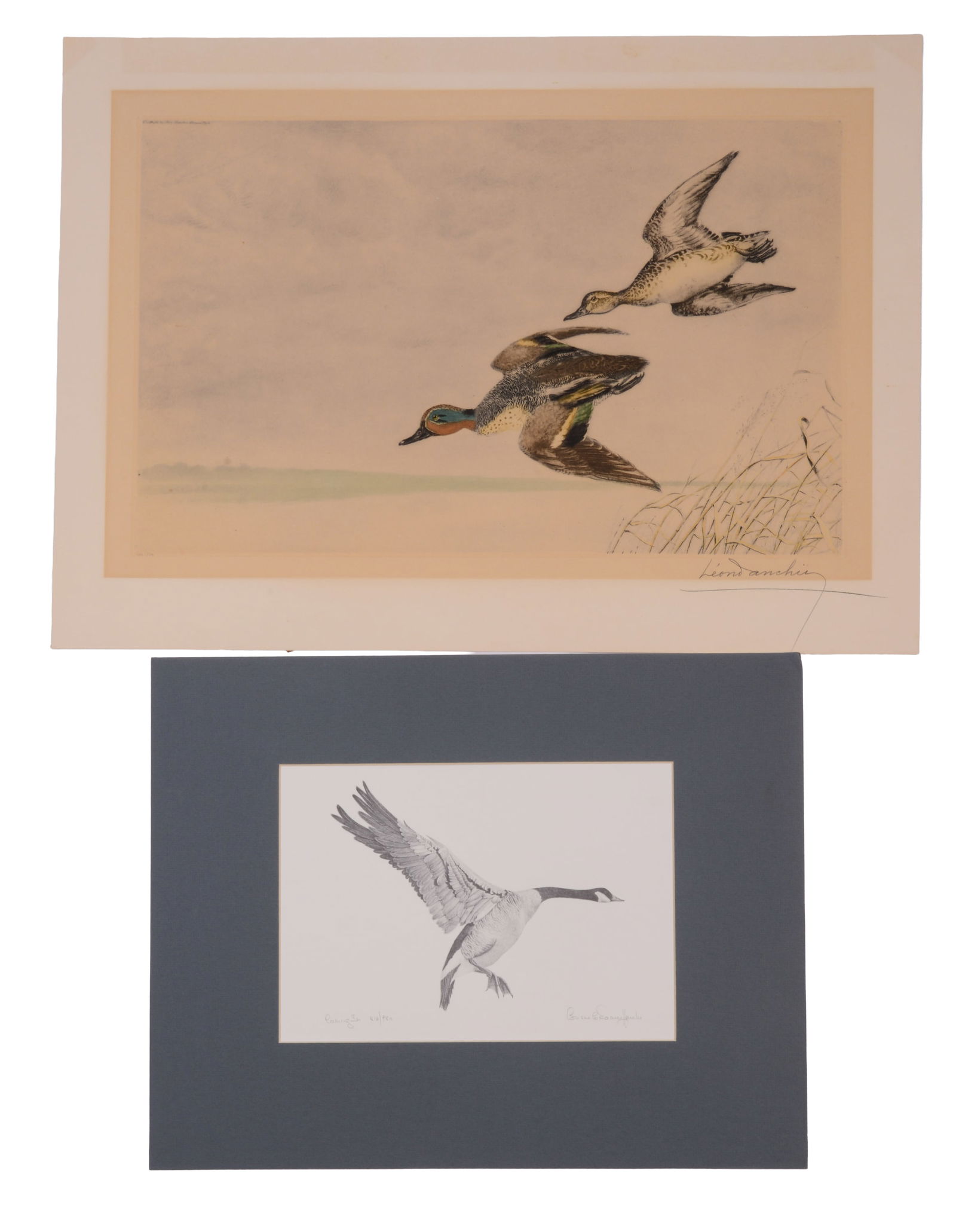 LEON DANCHIN (1887-1938). WINTER TEALS.: Lithograph on paper, pencil signed, sheet 19.5 x 26.5 inches. Together with a print by Consuelo Eames Hanks.