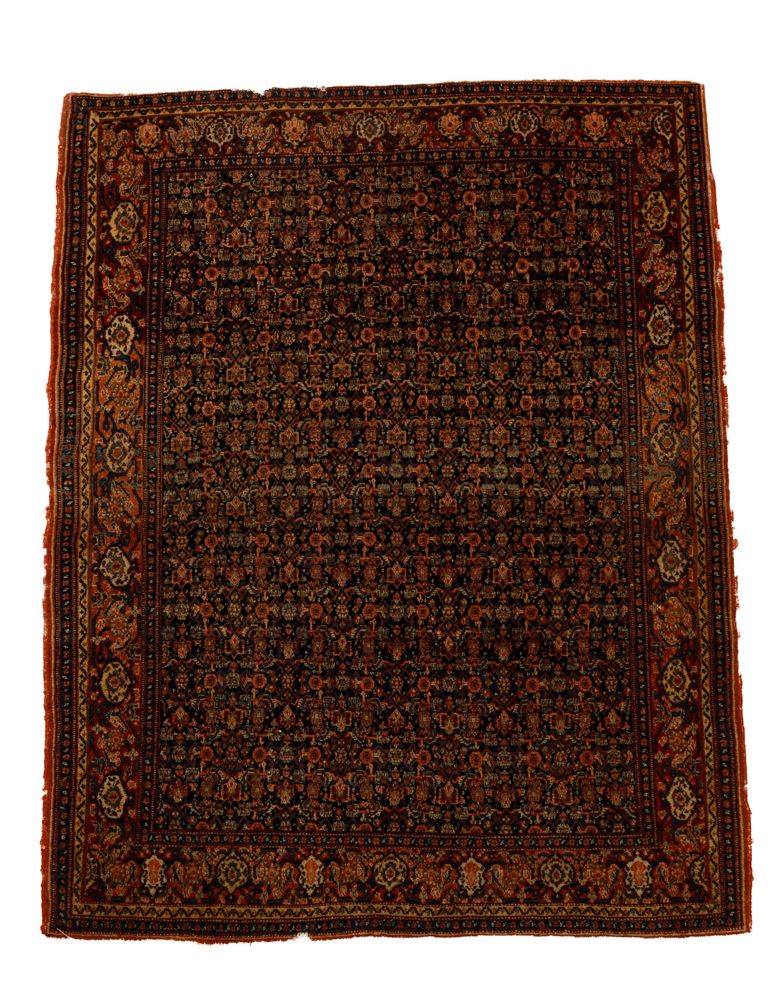 ORIENTAL CARPET. (1 of 3)
