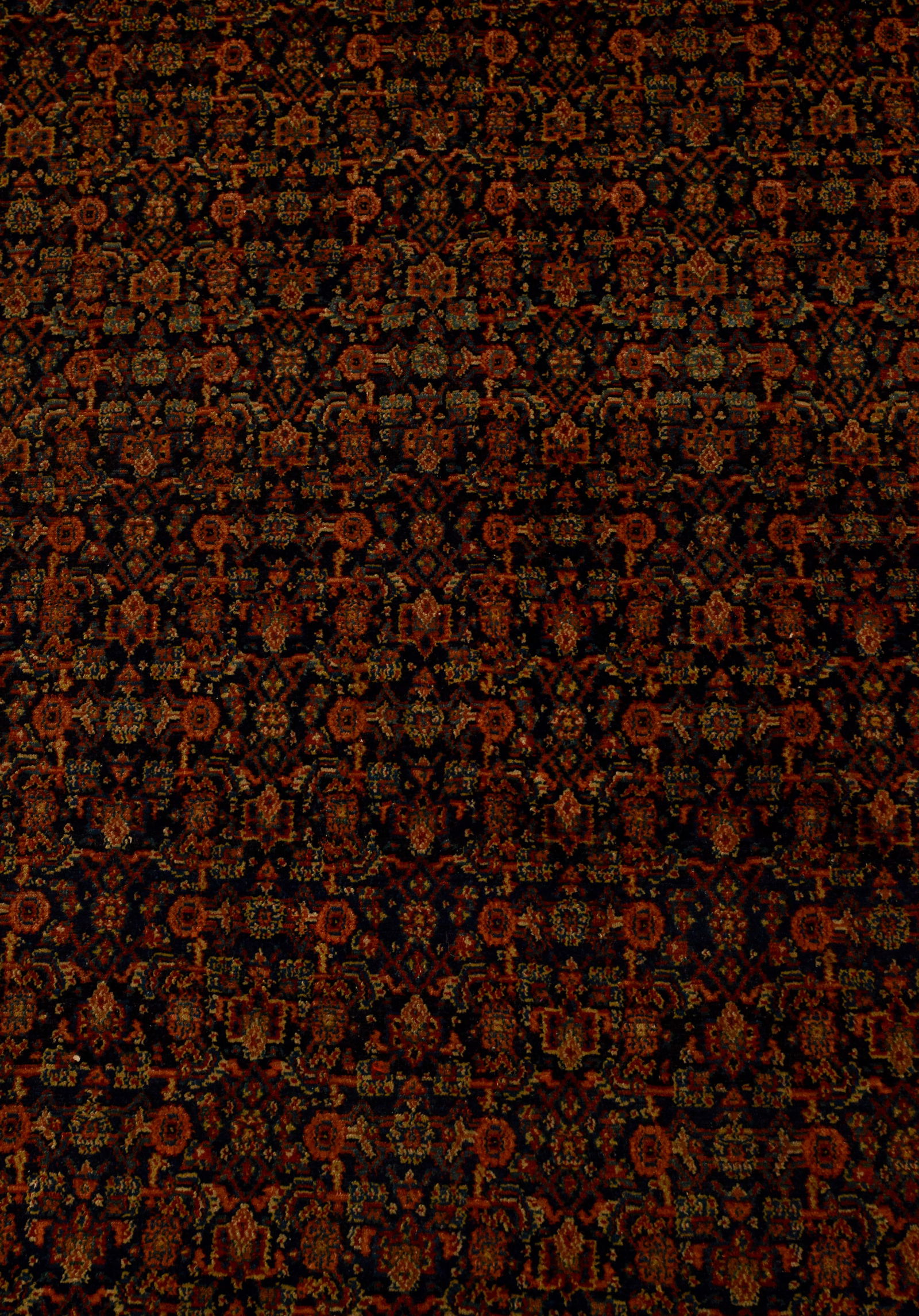 ORIENTAL CARPET. - 2