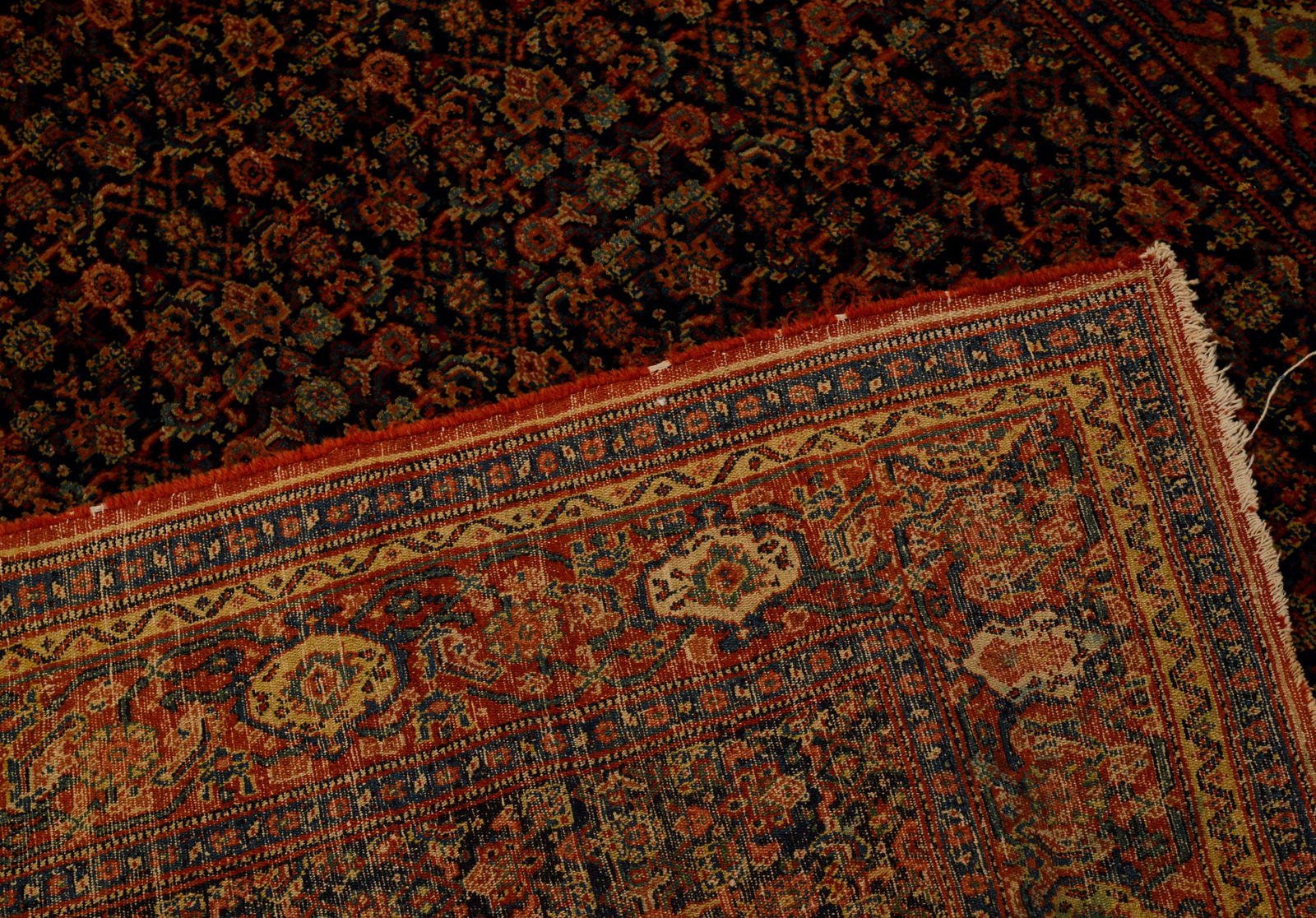 ORIENTAL CARPET. - 3