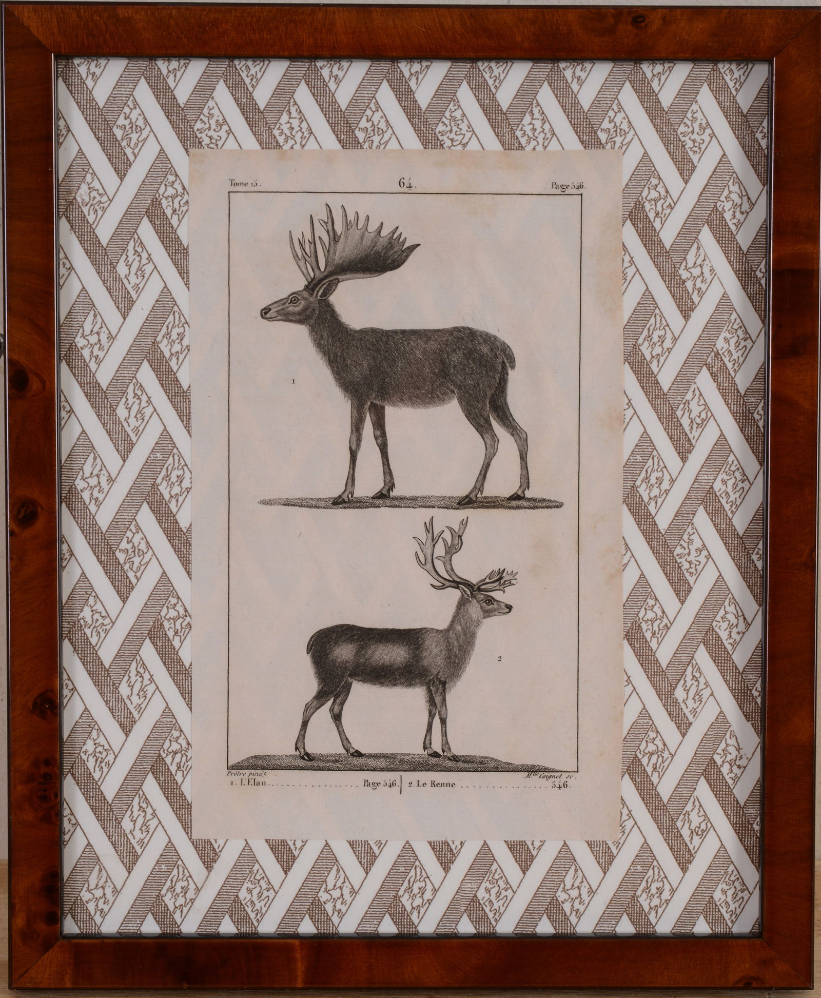 EARLY ENGRAVING OF AN ELK. (1 of 2)