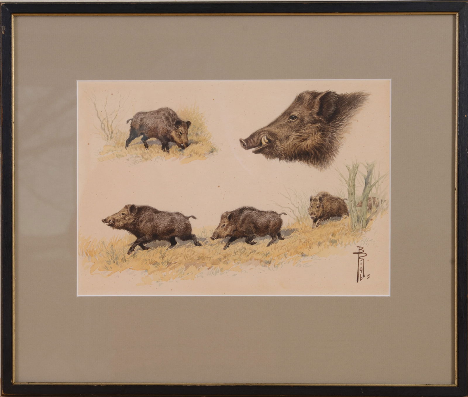 Watercolor of Wild Boars.: 8 x 12 inches, sight, signed and dated 1996. Framed, 15 x 18 inches.