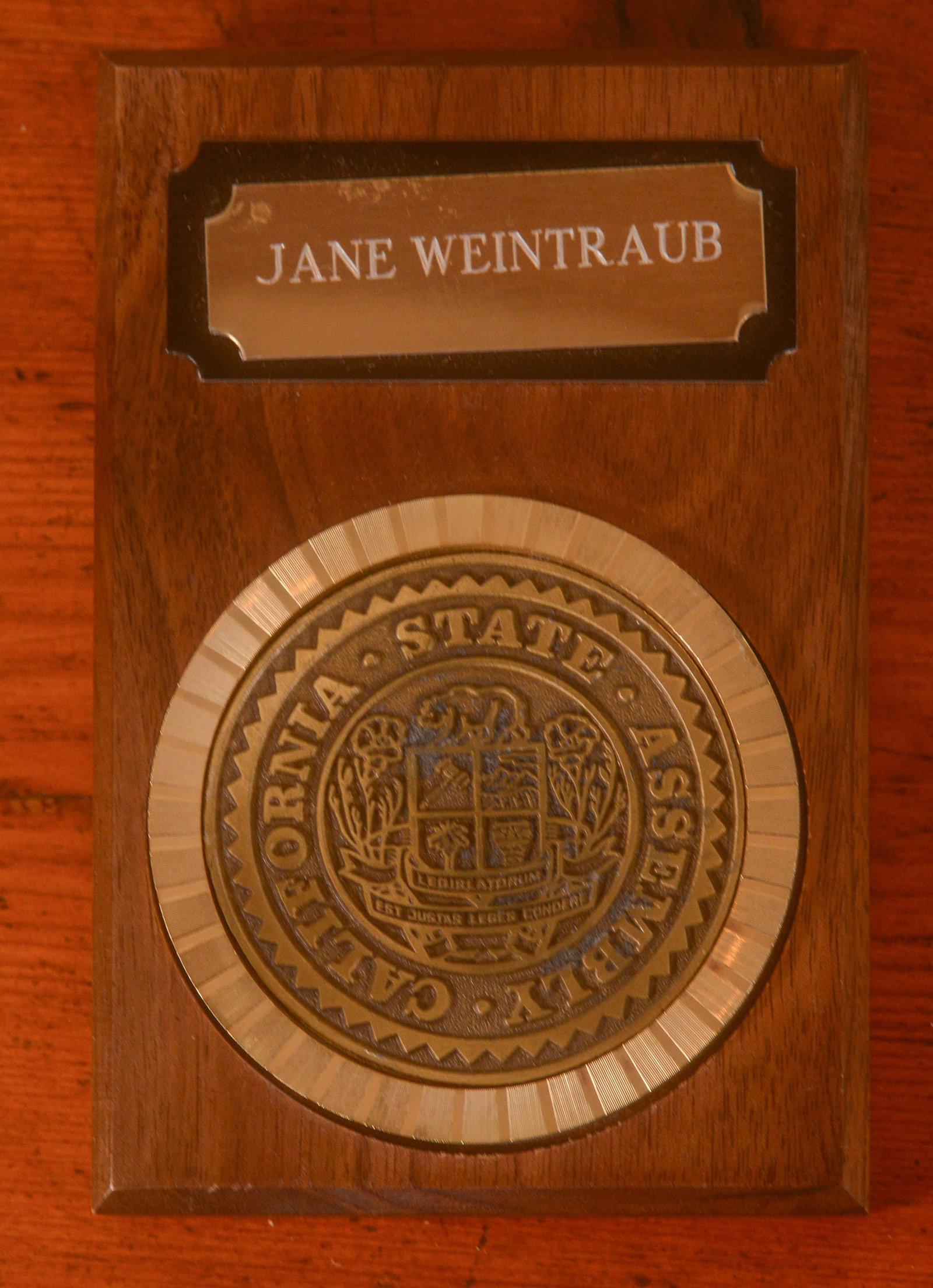 Jane Weintraub California State Assembly Metal.: Mounted, 6 x 4 inches.