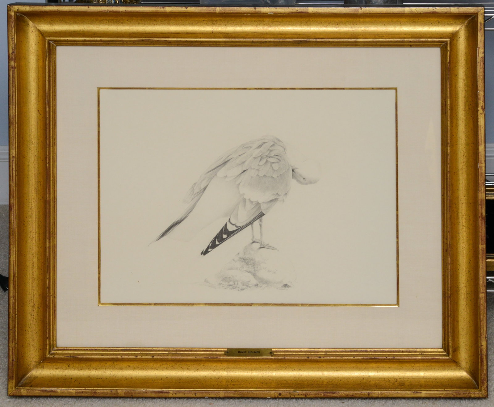 David Holmes. Preening Gull.: Print, nicely framed, 24 x 29 inches.