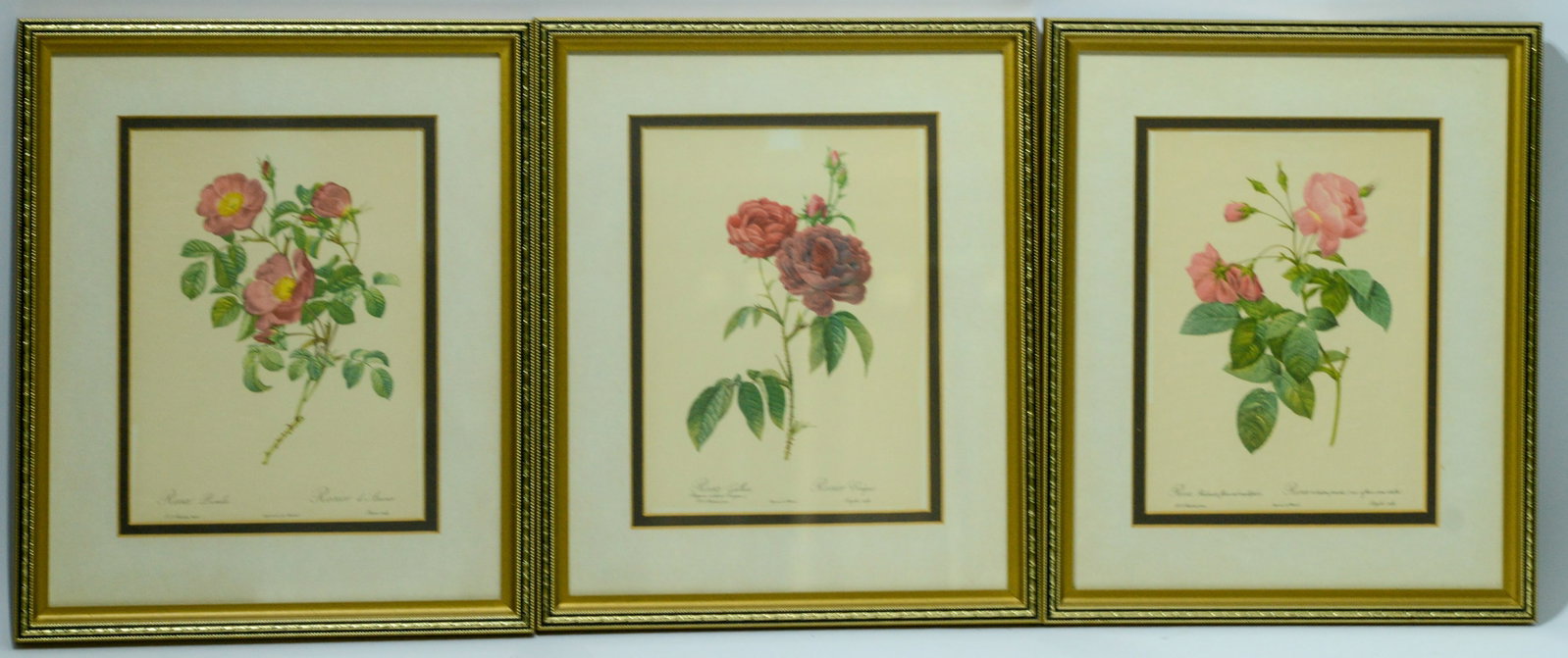 Three French Floral Prints.: Framed, 12 x 10 inches.