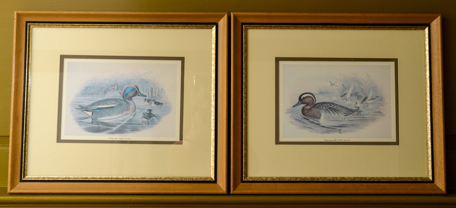 Two Duck Prints After John Gould.: Nicely framed, 16.5 x 19.5 inches.