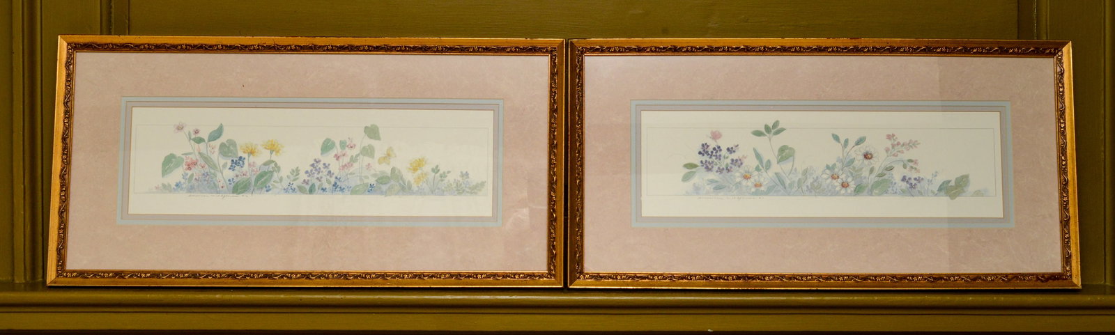 Pair of Prints of Wildflowers.: Framed, 12 x 25 inches.
