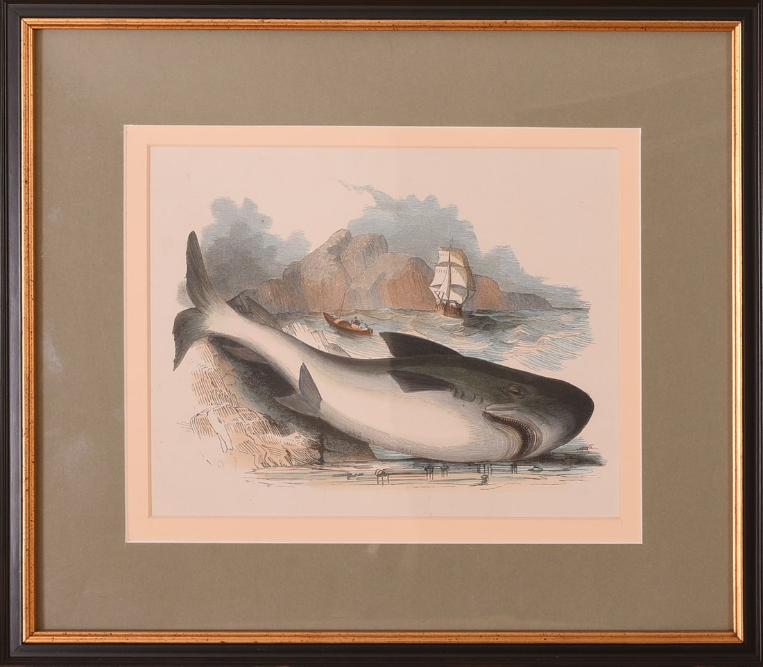 Harper's Weekly Print of a Beached Whale.: Framed, 13 x 15 inches.