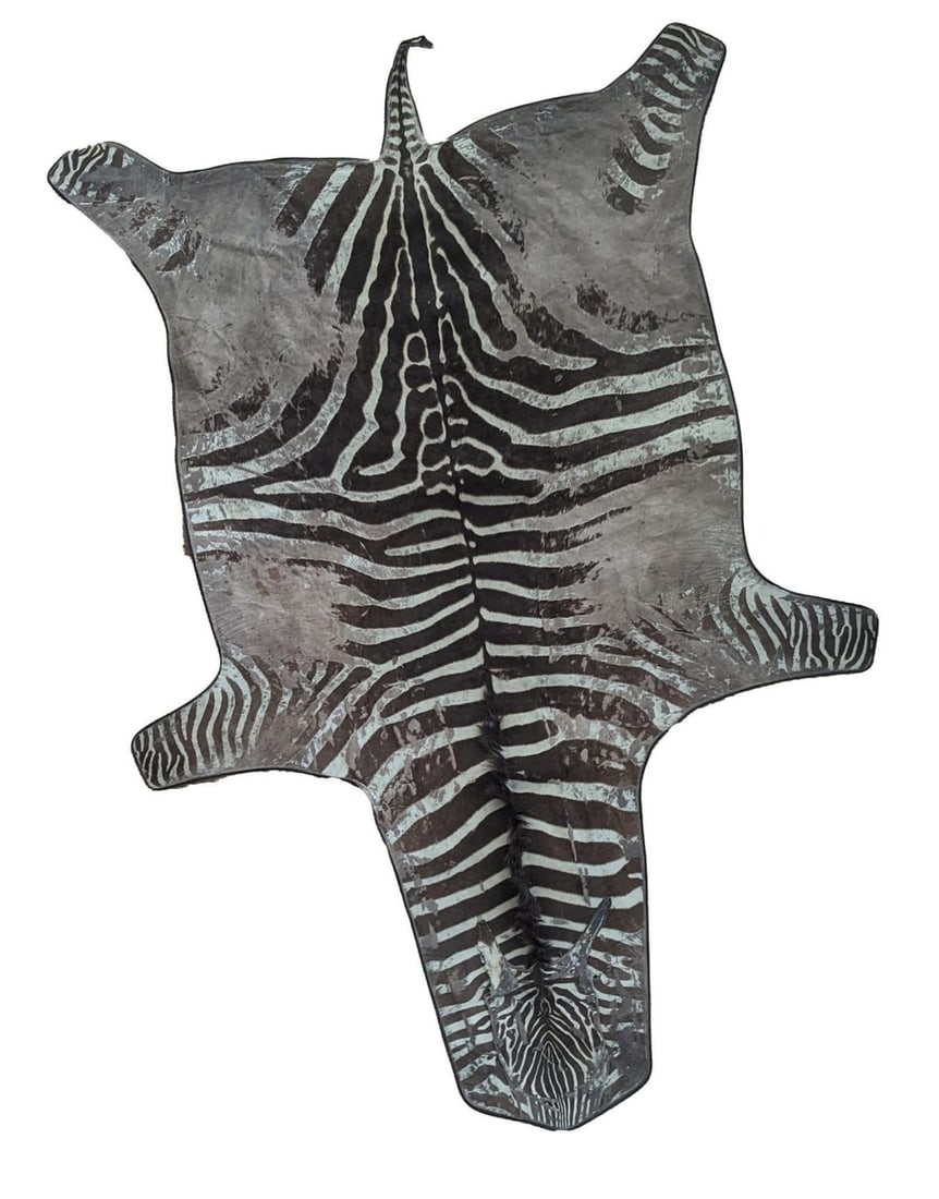 Vintage Zebra Hide Rug (1 of 1)