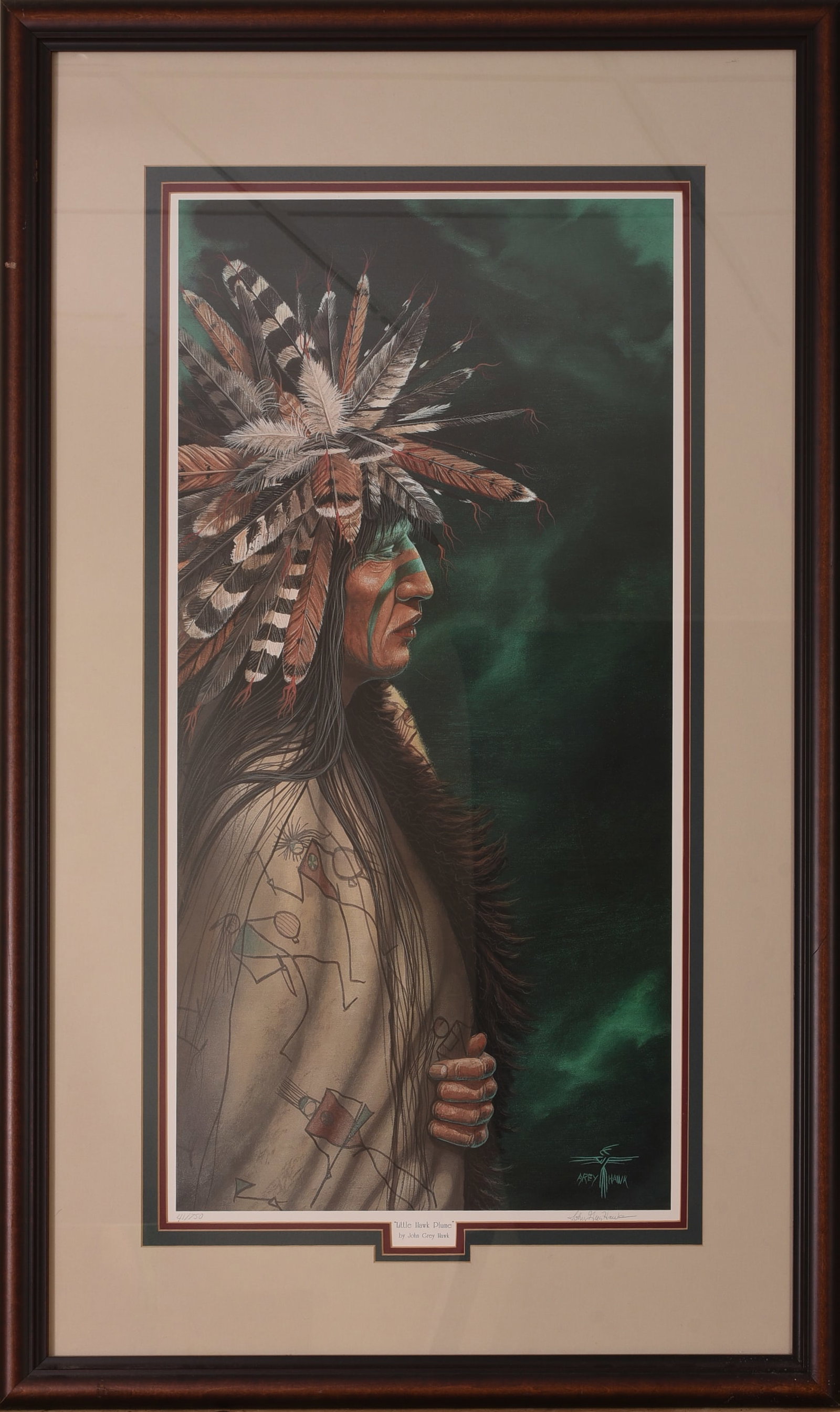 John Grey Hawk. Print: Little Hawk Plume.: Framed, 42 x 25.5 inches.