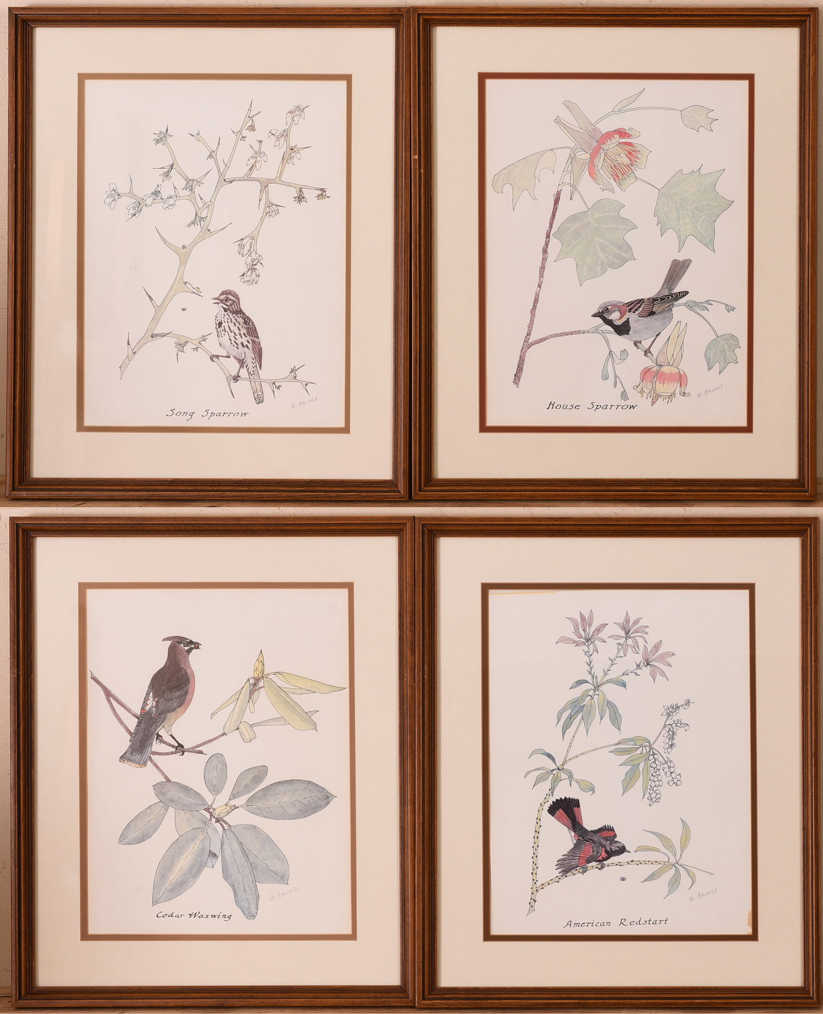 Four W. Bruhns Bird Prints.: Framed, 19 x 16 inches.