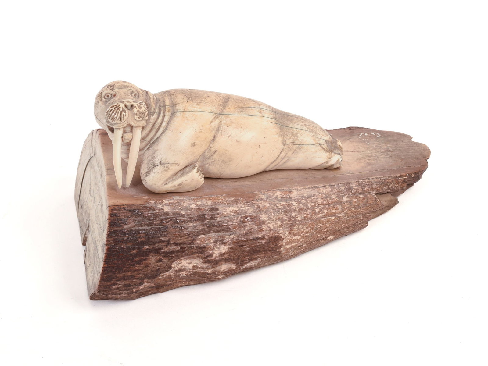 FOSSILIZED CARVED WALRUS TUSK. (1 of 7)