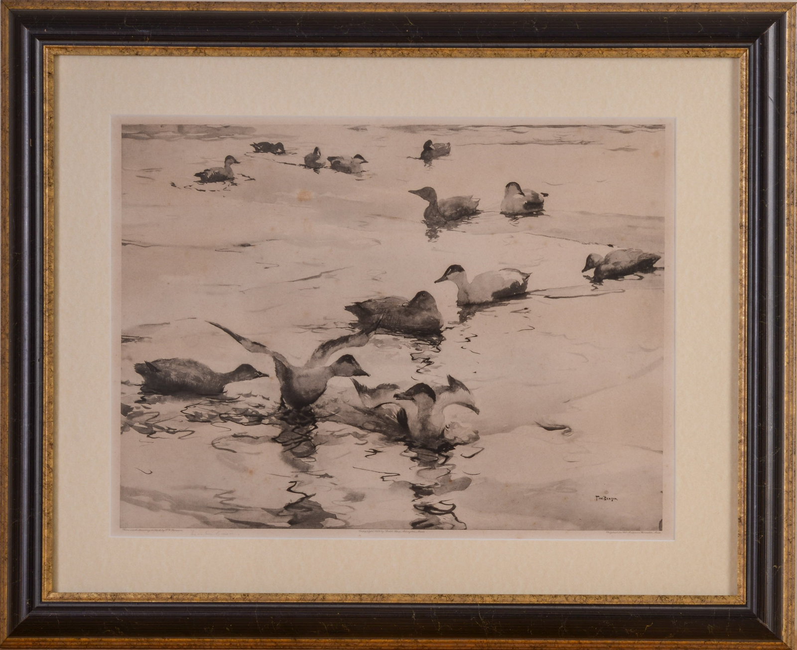 EIDER DUCKS IN WINTER, AFTER FRANK BENSON.: Reproduction of an ink wash drawing, published by Foster Brothers, Boston. Framed, 23.5 x 28.5 inches.