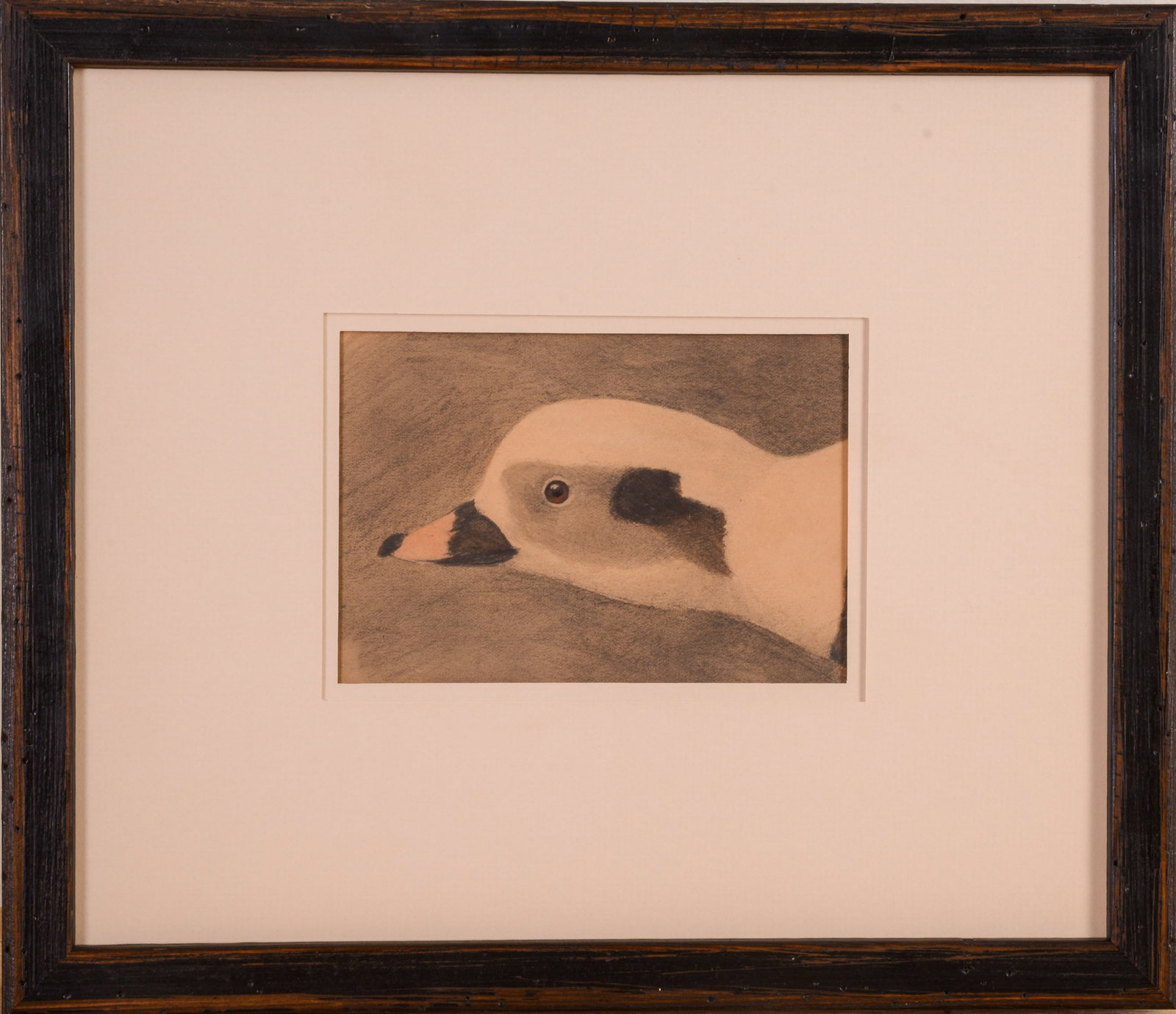 LOUIS AGASSIZ FUERTES (1874 - 1927). OLD SQUAW.: Framed watercolor on paper, unsigned. Sold by Fuerte's wife Mary at the sale of his artwork in 1927 at Cornell University. Sight 3.75 x 5.5 inches. Frame 11 x 13 inches.