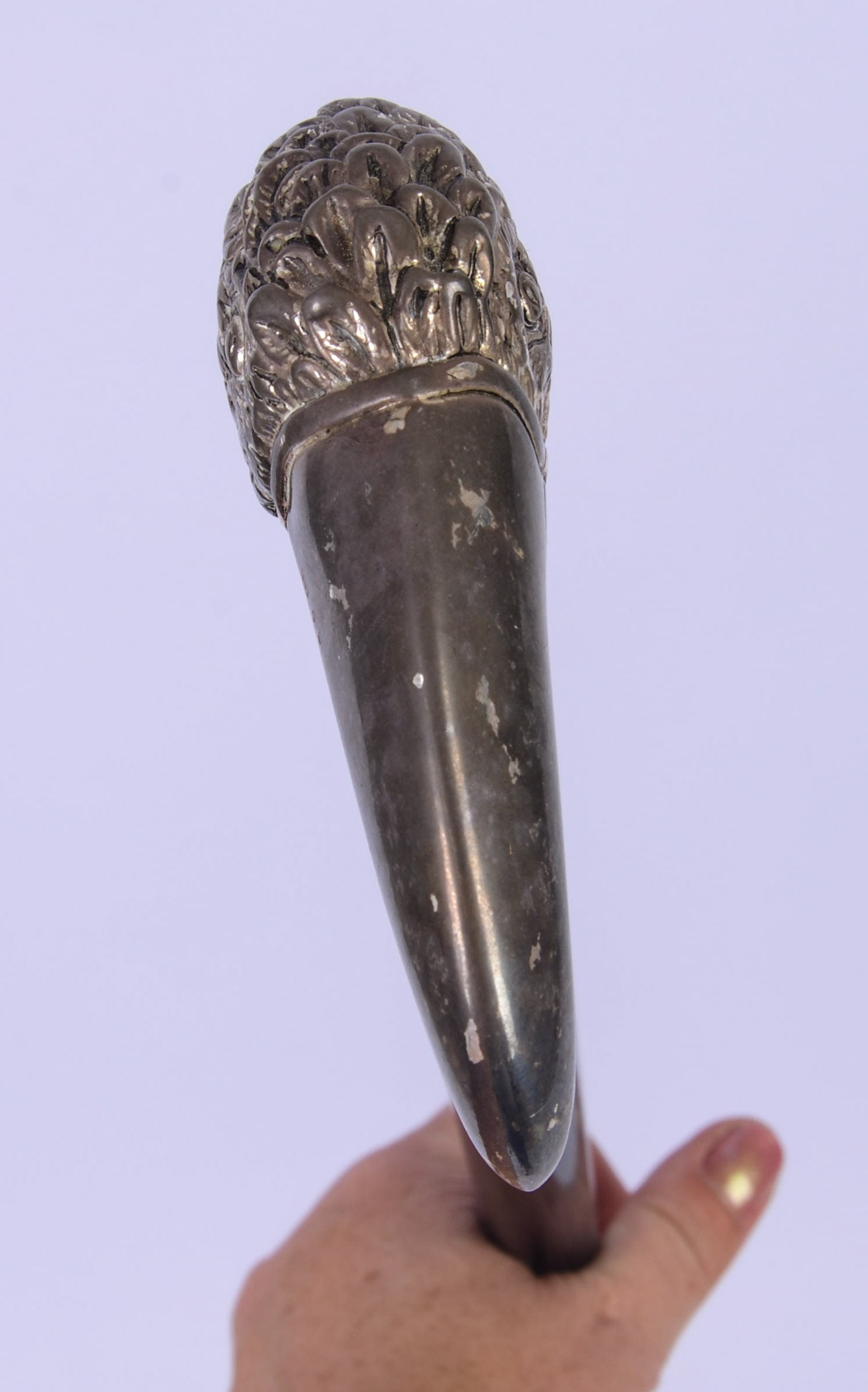 CANE WITH BIRD HANDLE. - 3