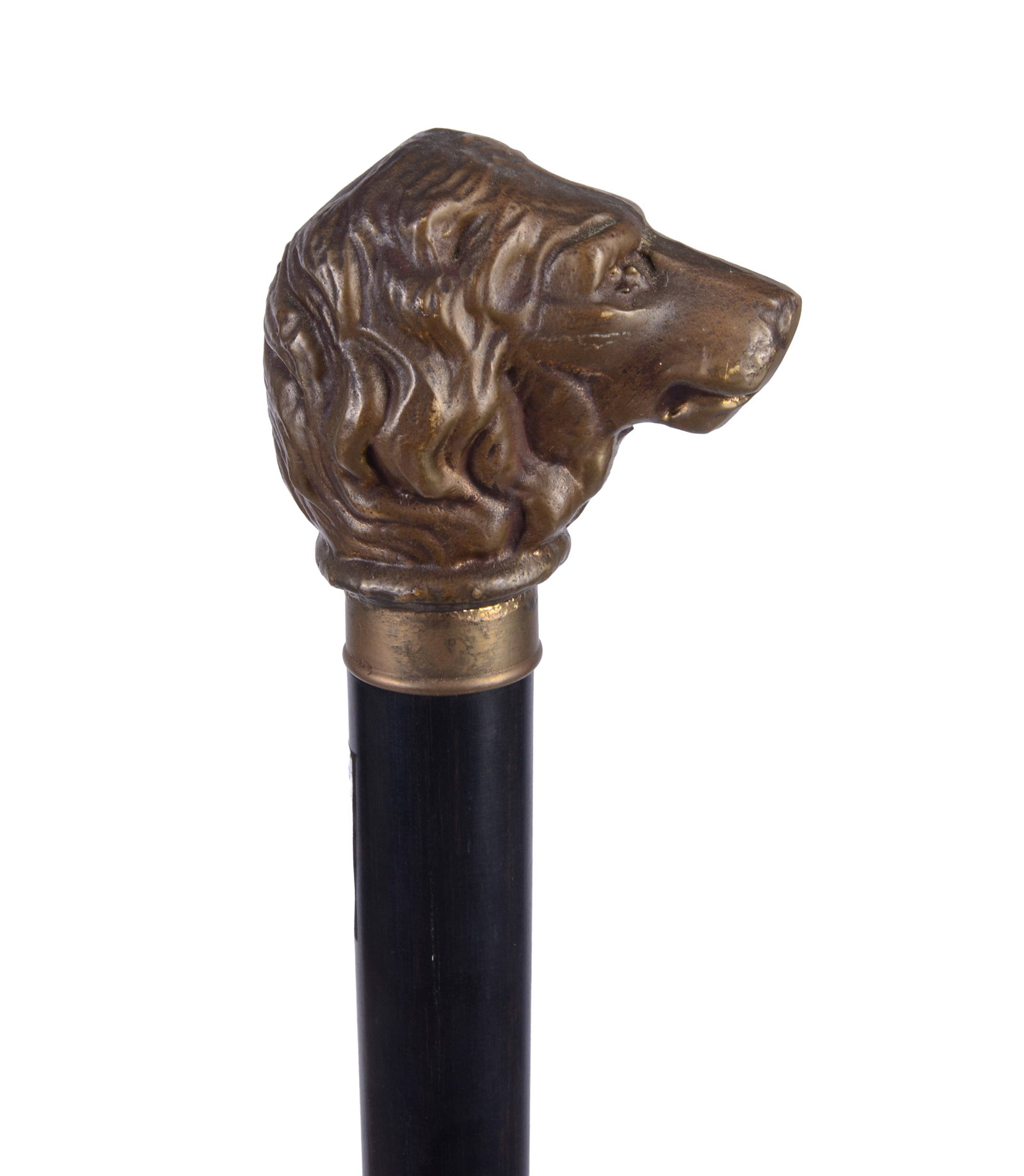 CANE WITH BRASS LION HANDLE.: Length 36 inches.