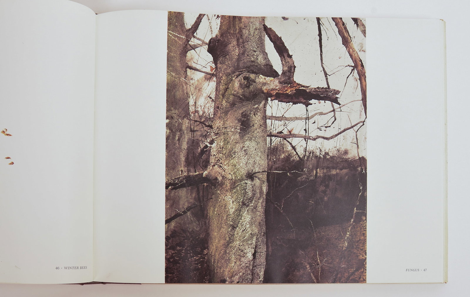 ANDREW WYETH SIGNED BOOK. - 7