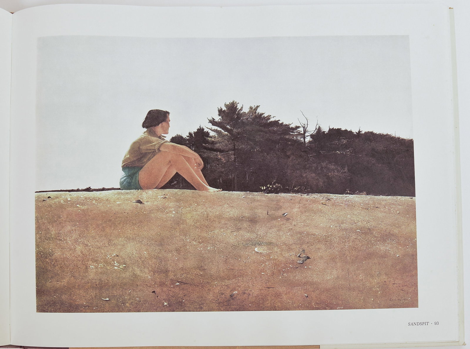 ANDREW WYETH SIGNED BOOK. - 6