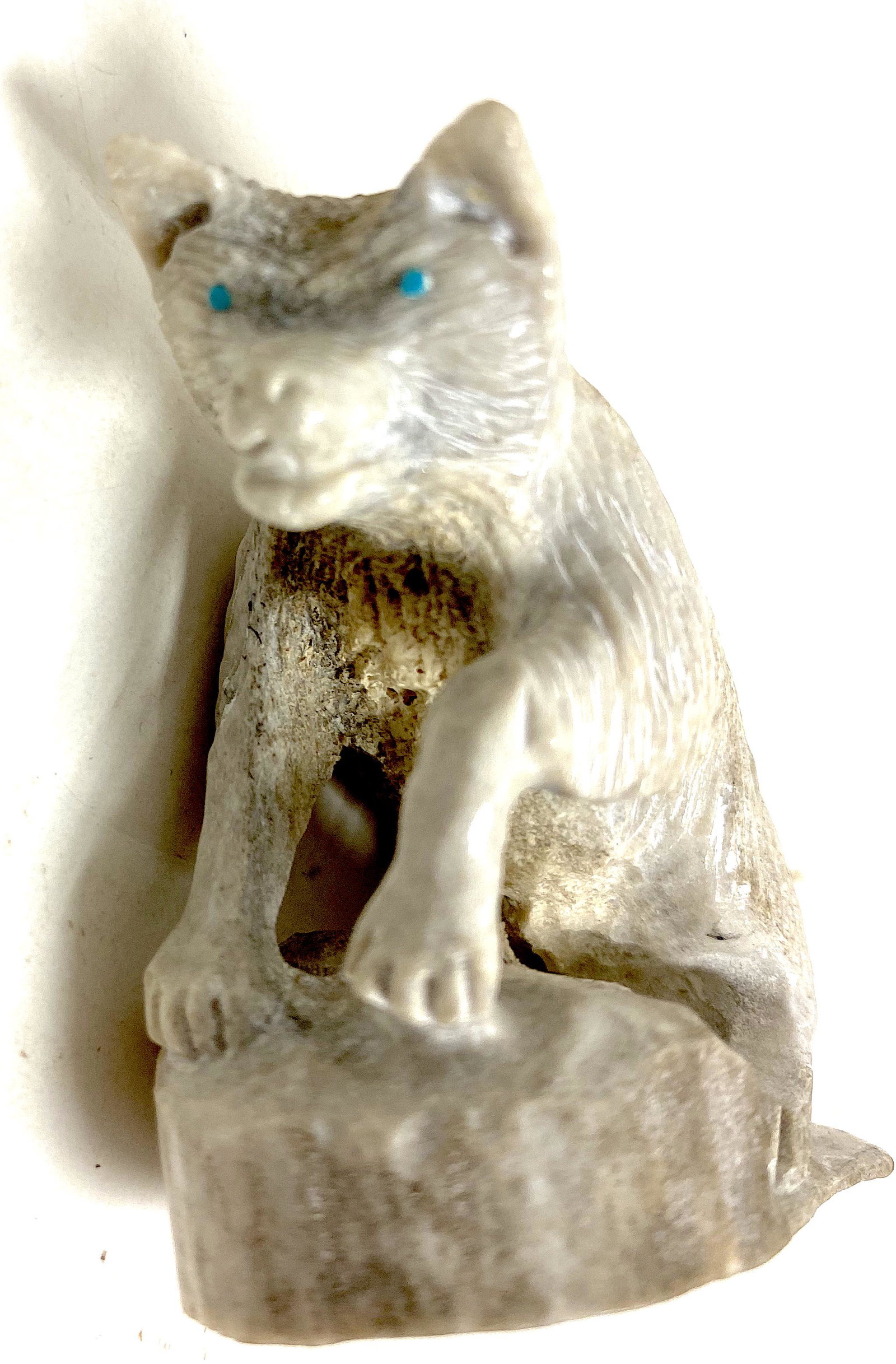 Vintage Zuni wolf Fetish Carving: Vintage Zuni wolf Fetish Carving measures 2.5 in x 2.5 in