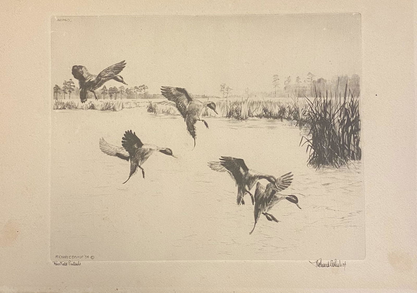 Richard Evett Bishop (1887 - 1975) (1 of 3)