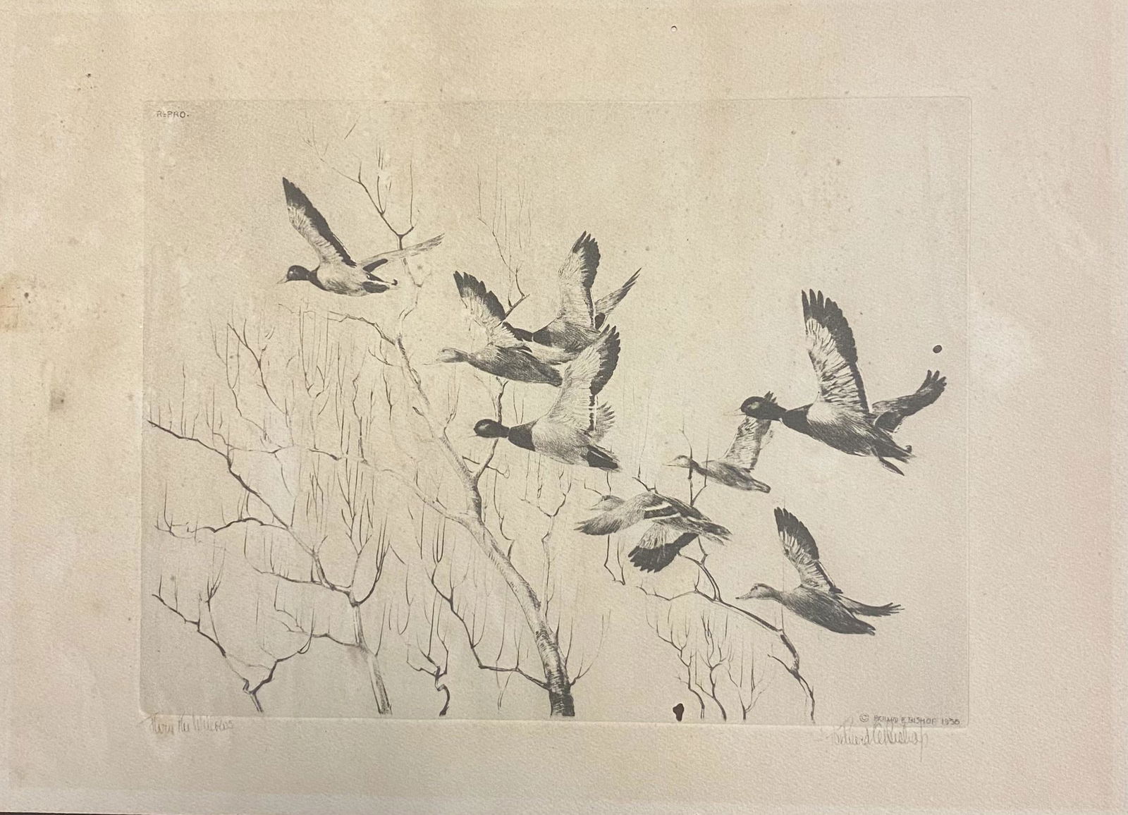 Richard Evett Bishop (1887 - 1975) (1 of 3)