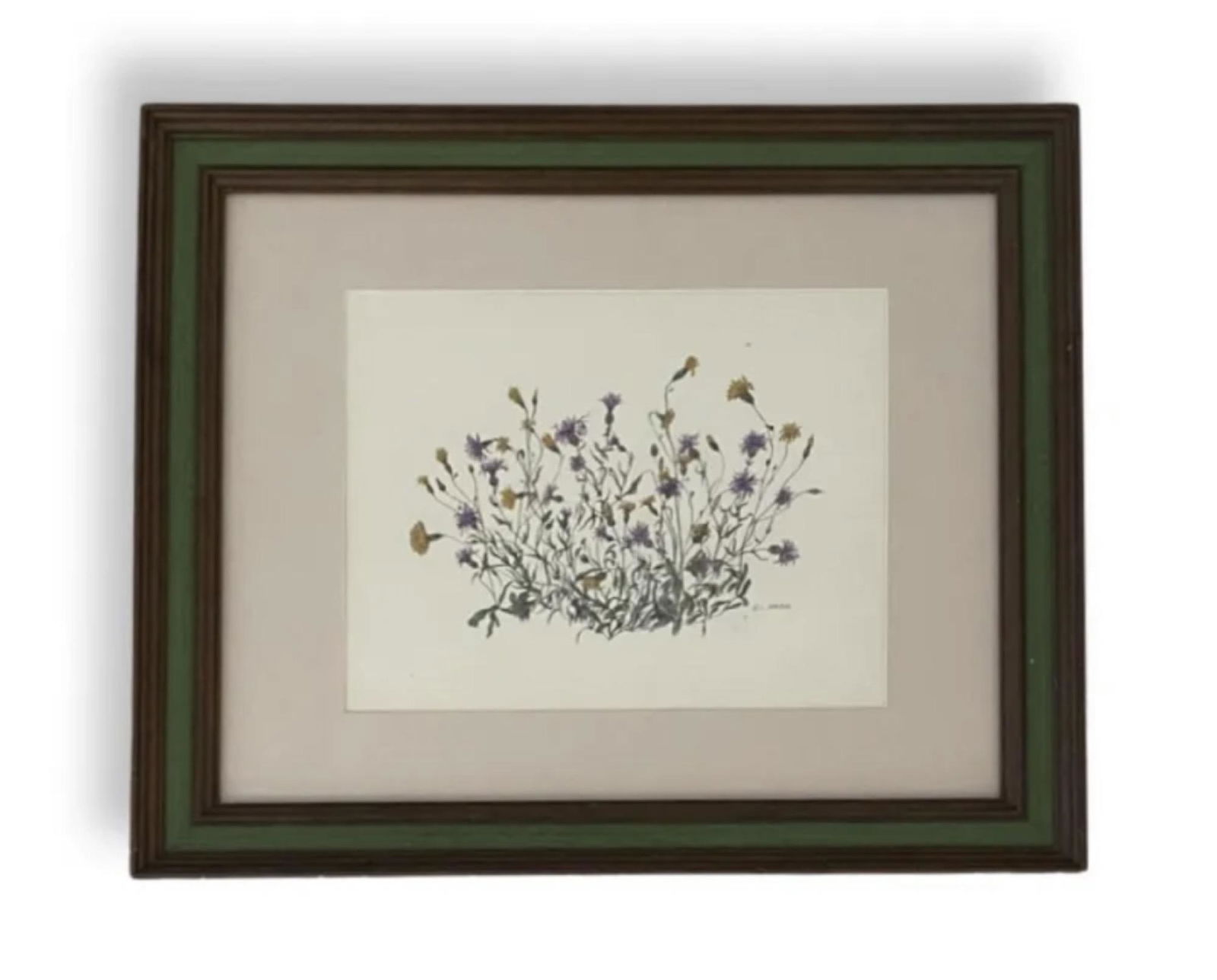 Elmer Livingston MacRae (1875 - 1953) American (Botanical) (1 of 3)