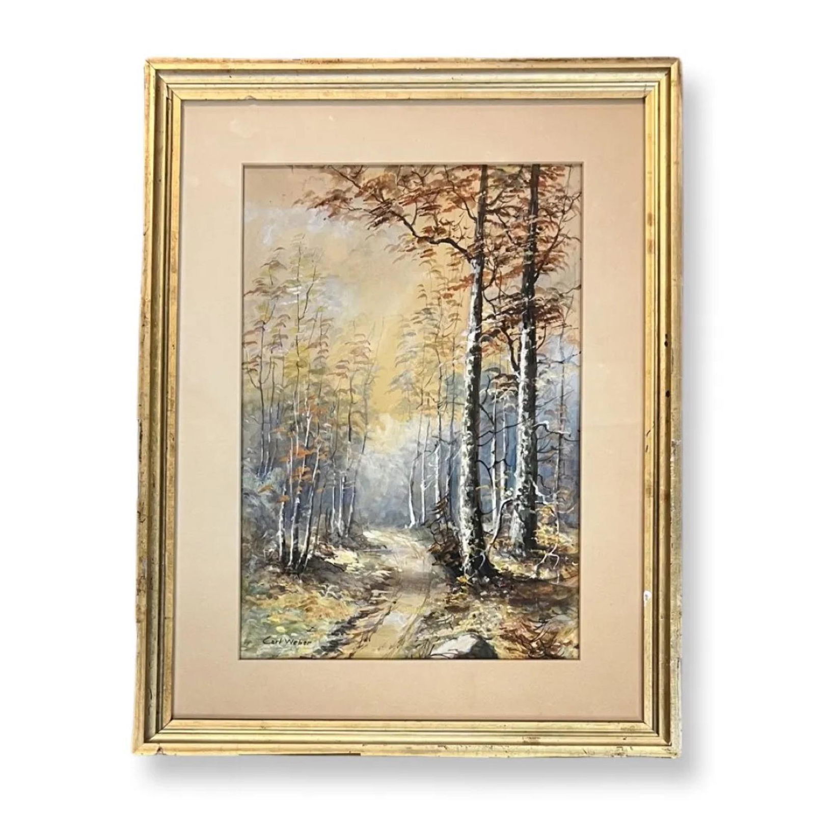 Carl Weber (1850 - 1921) Pennsylvania / Germany.: Carl (C. Weber) Weber (1850 - 1921) Watercolor on paper , Signed ,measures 15 " 10 "Carl C, Weber was born on Oct. 18, 1850, in Philadelphia, the son of Daniel Gottlieb Paul Weber (Paul Weber in commo