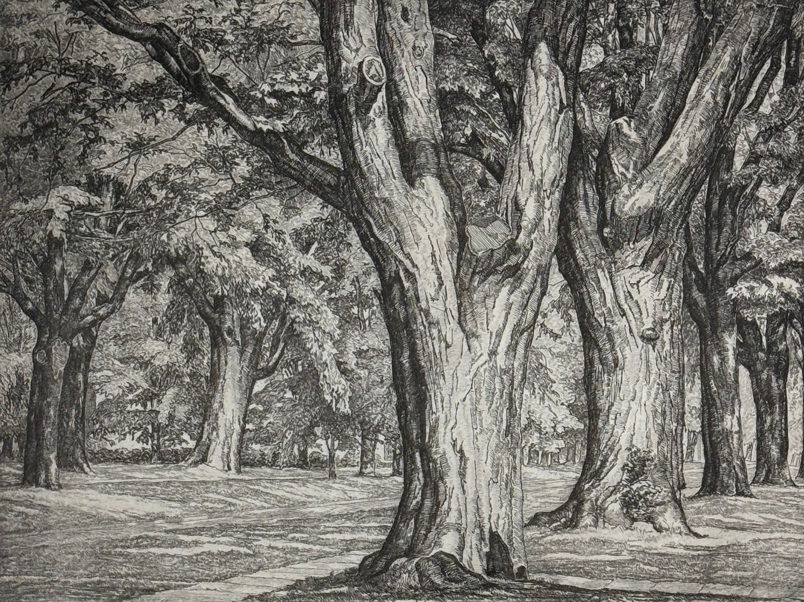 Luigi Lucioni (1900 - 1988) "Tree Lined Road' (1 of 4)
