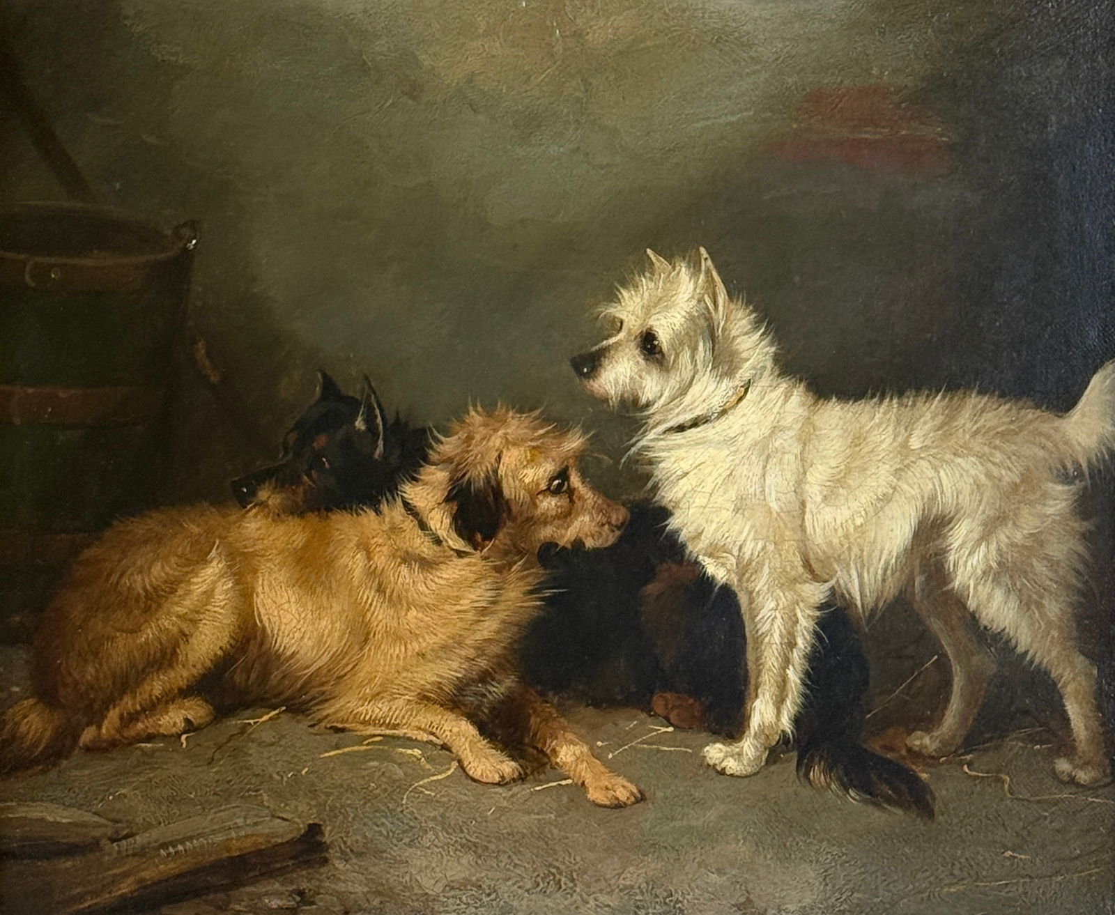 George Armfield (1810-1893) Norfolk Terriers (1 of 3)