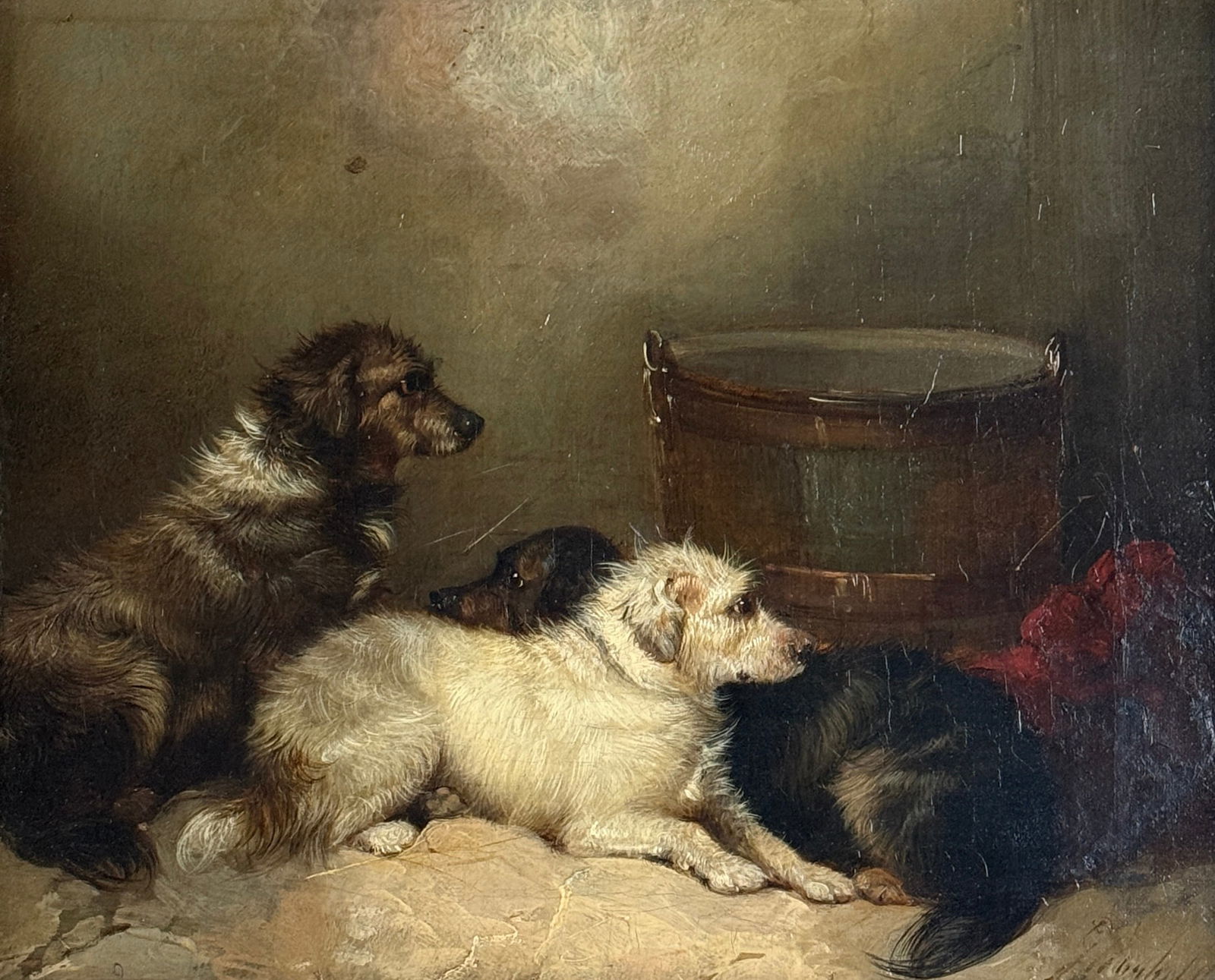 George Armfield (1810-1893) Norfolk Terriers (1 of 3)