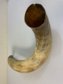 ANTIQUE 19th CENTURY VERY LARGE WATER BUFFALO DECORATIVE HORN