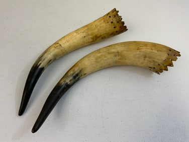 ANTIQUE DECORATING HORNS