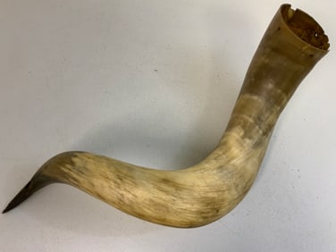 ANTIQUE 19th CENTURY VERY LARGE WATER BUFFALO DECORATIVE HORN