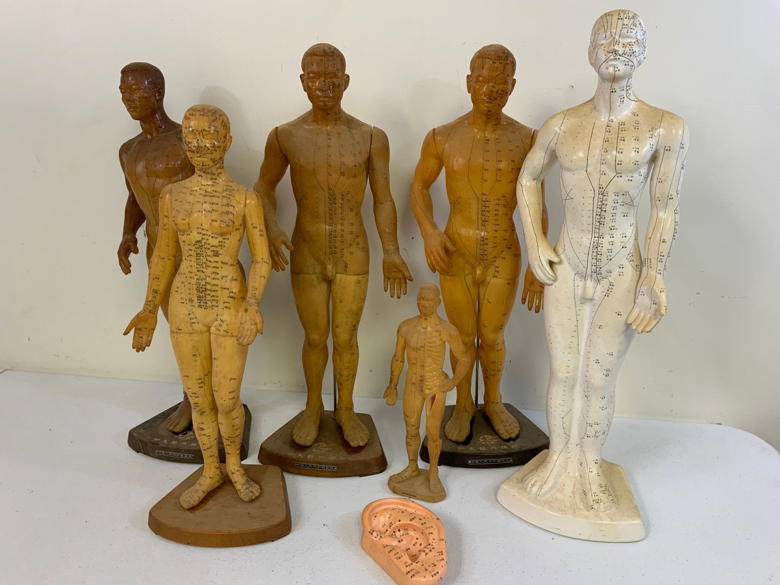 LARGE CHINESE LARGE ACUPUNCTURE TRAINING FIGURES: LARGE CHINESE LARGE ACUPUNCTURE TRAINING FIGURES . 22" TALL THE TALLEST. PLUS AN EAR MODEL. FROM DR. PAUL LYNN COLLECTION.