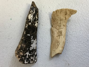 CHINA ANCIENT CHINESE INSCRIBED ORACLE BONES