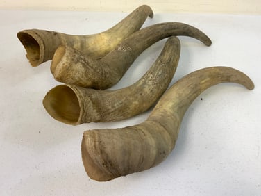 LOT OF 4 VINTAGE LARGE COW HORNES