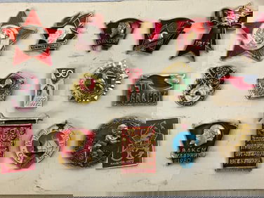 USSR SOVIET SOCIALIST PINS BADGES YOUTH ORGANISATIONS ETC