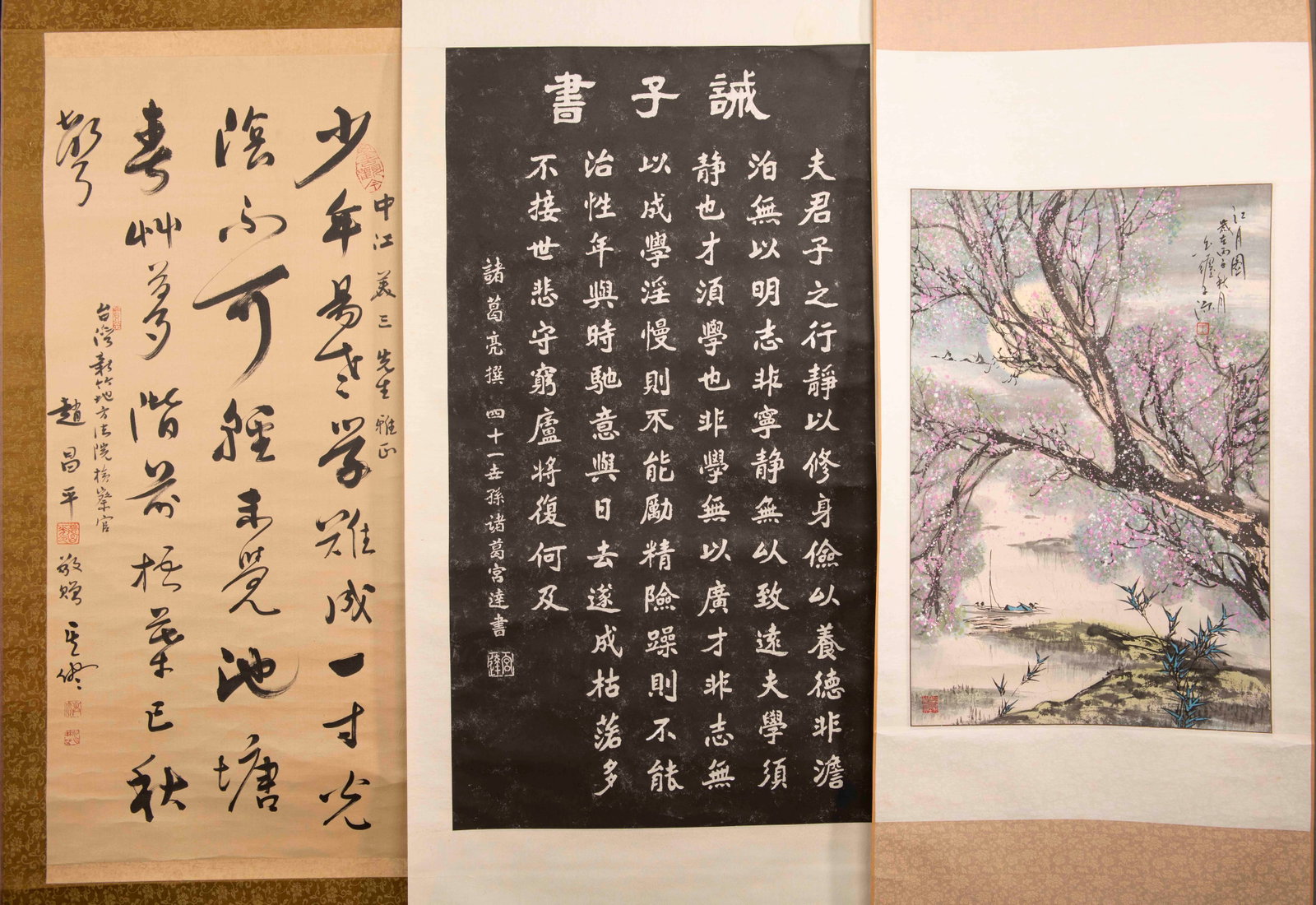 Two Chinese Calligraphies and A Chinese Painting (1 of 11)