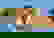 item-2971171=3