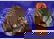 184: Pair Blackamore Plaster Face Mask Black Woman Girl