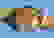 item-3630692=2